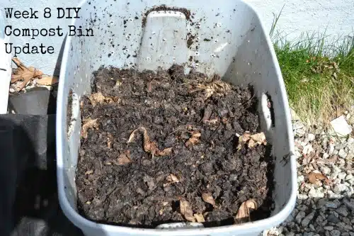 Brown compost inside a grey, homemade composting bin with holes.