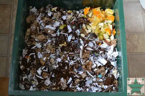 Vermi-Composting-Bin