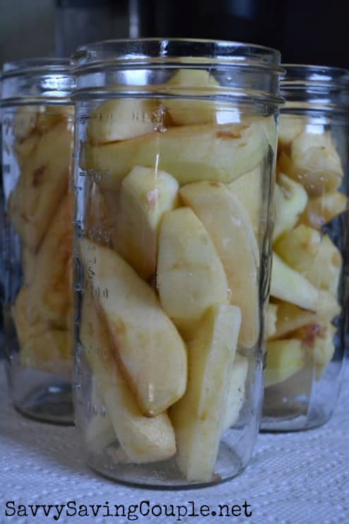Apple chunks in clear mason jar. 