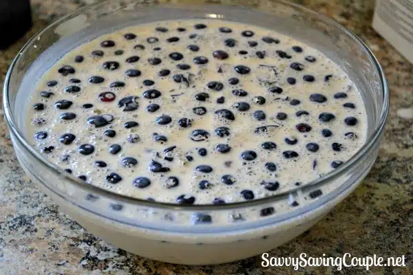 Blueberry Ice Cream Batter