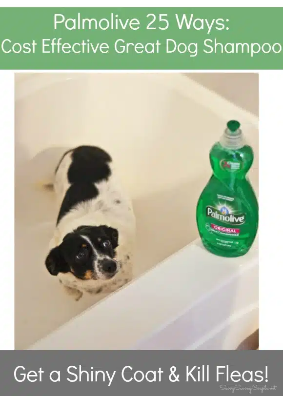 palmolive-dog-shampoo