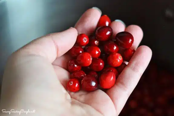 fresh-cranberries