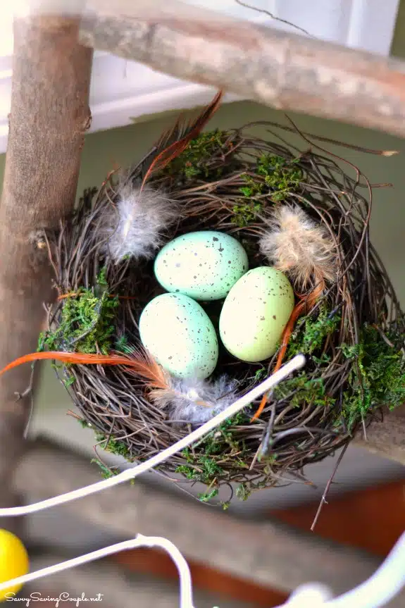 Easter-Birds-nest