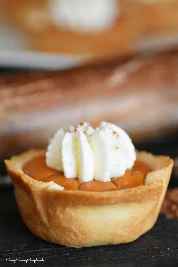 up close shot of a mini pumpkin pie with whipped cream. 