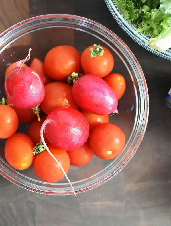 tomatoes-radishes