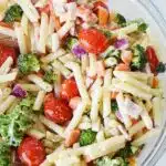Quinoa Vegetable Pasta Salad