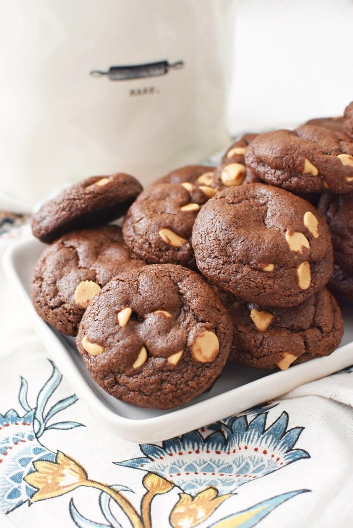 Chocolate Chip Cocoa Cookies1