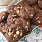 Cocoa Peanut Butter Cookies1