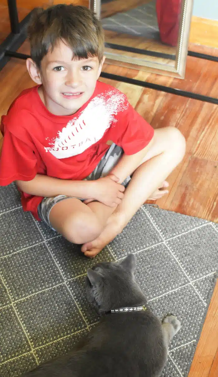 Boy with Grey Cat 1