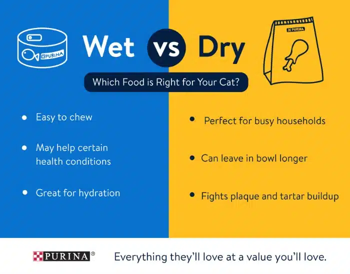 wet vs dry cat food