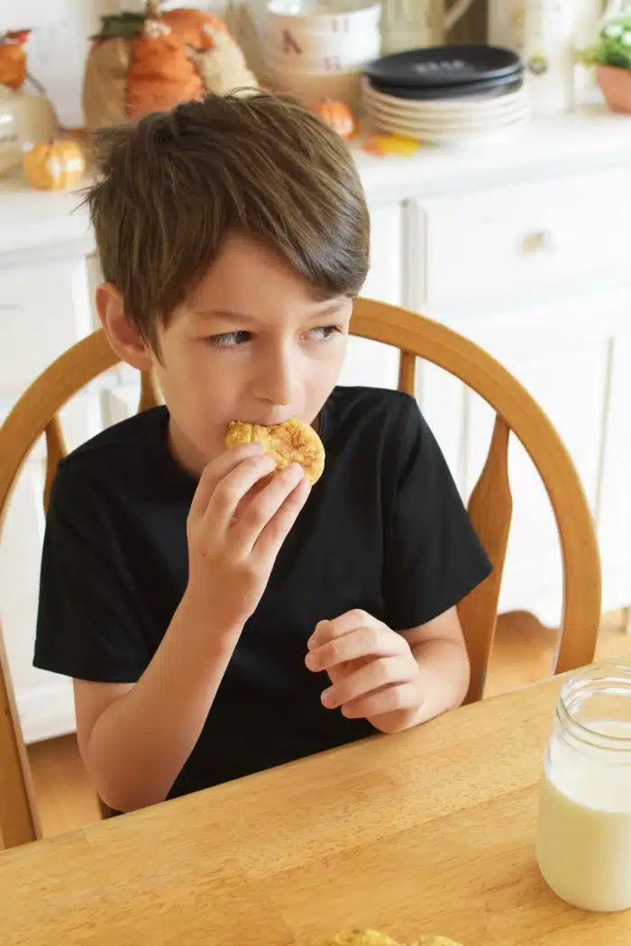 Little Boy eating cookies 1