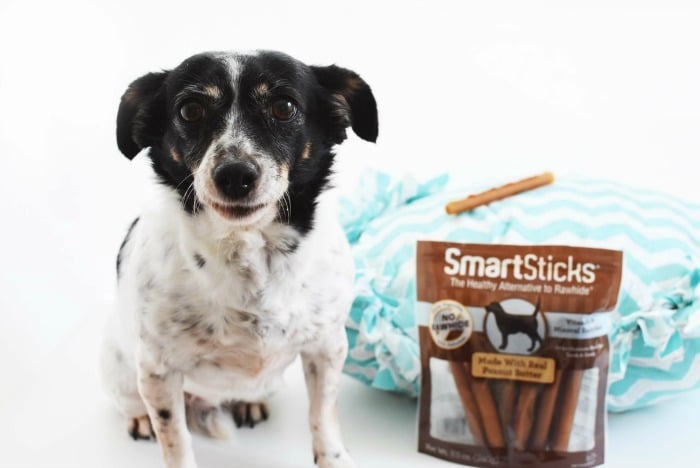 Dog with Smartbones SmartSticks 1