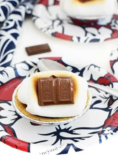 mini smores pies