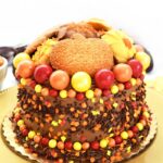 Thanksgiving Cookie Topped Cake
