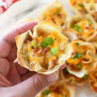 Bacon & Cheese Wontons in hand.