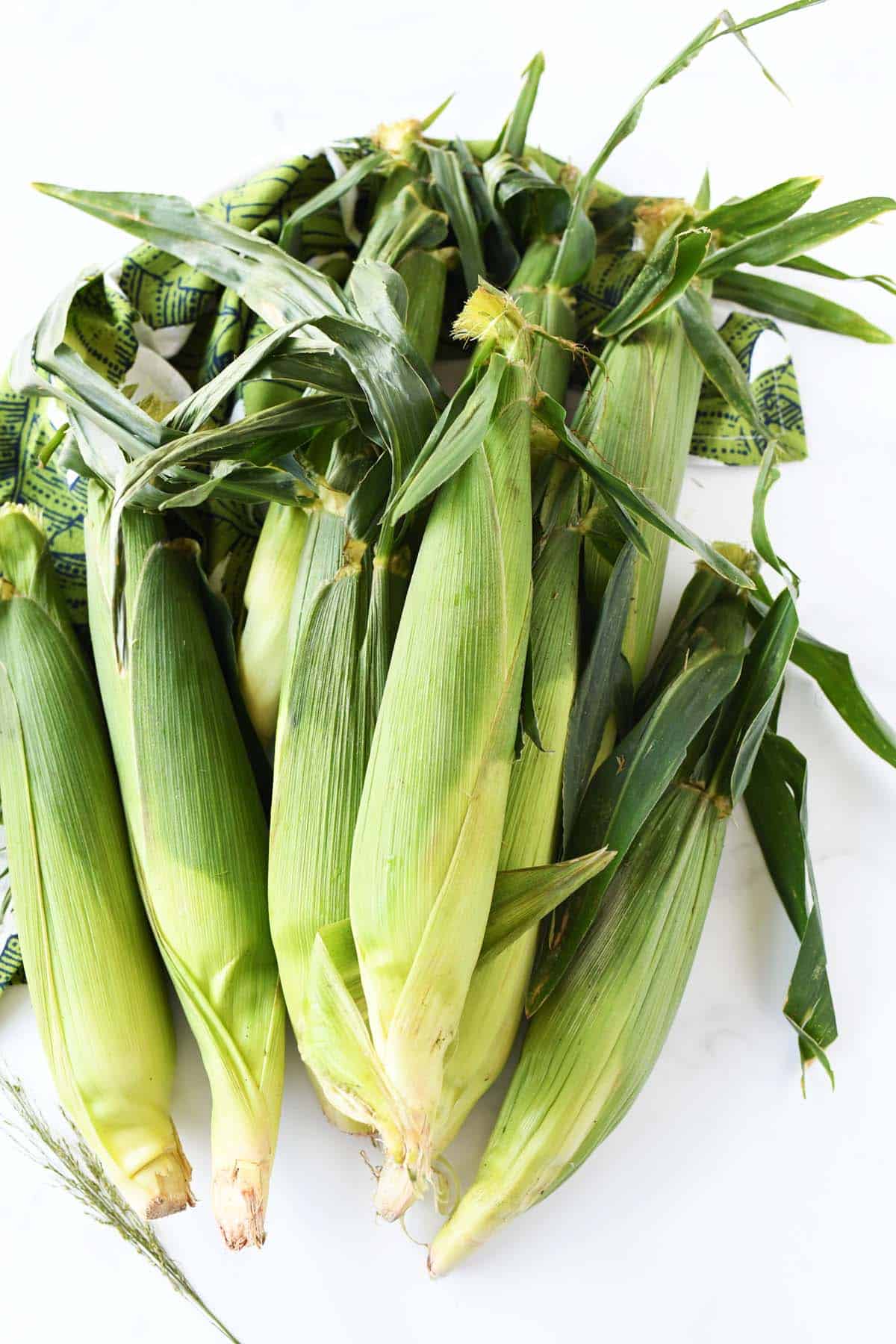 A pile of green sweet corn in husks on a white table.