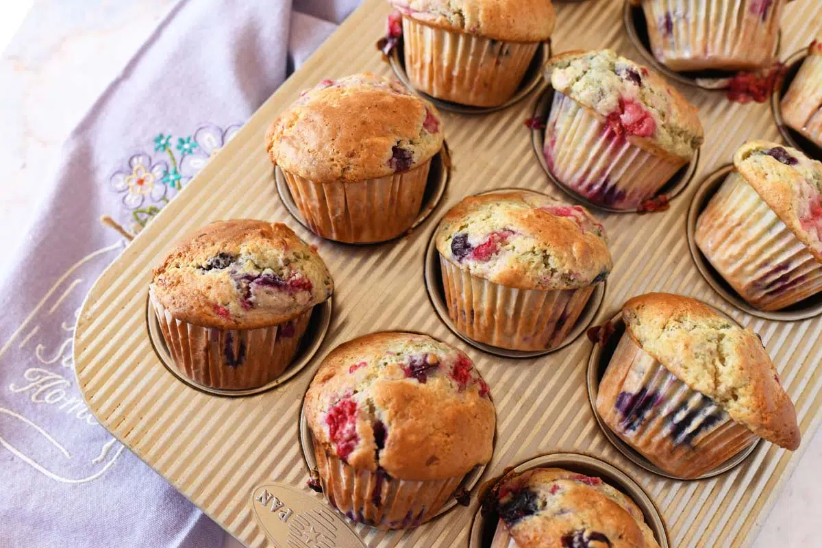 berry sourdough muffins in a metal cupcake pan with a purple napkin.