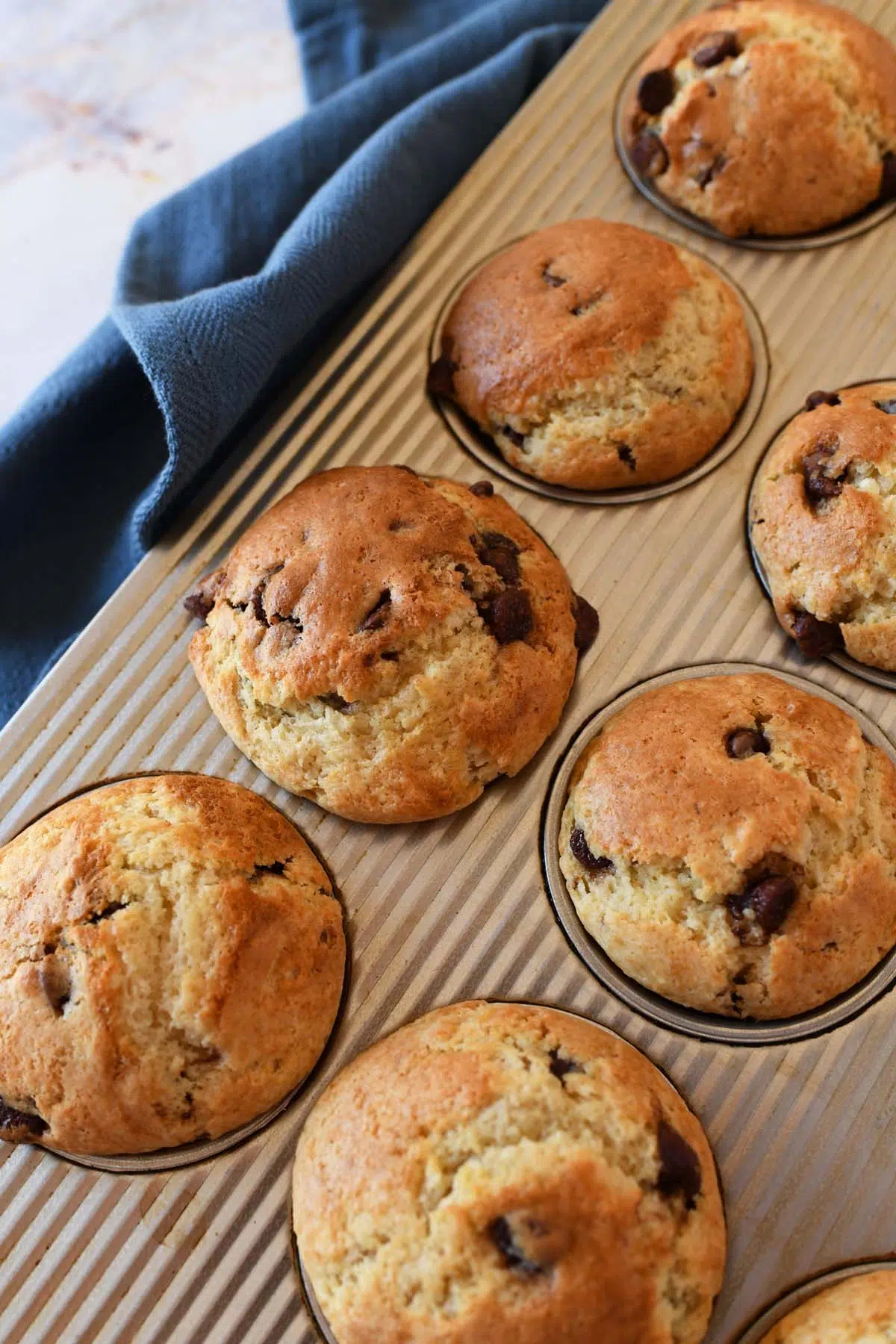Golden brown sourdough chocolate chip muffins in a muffin tin with a blue napkin.