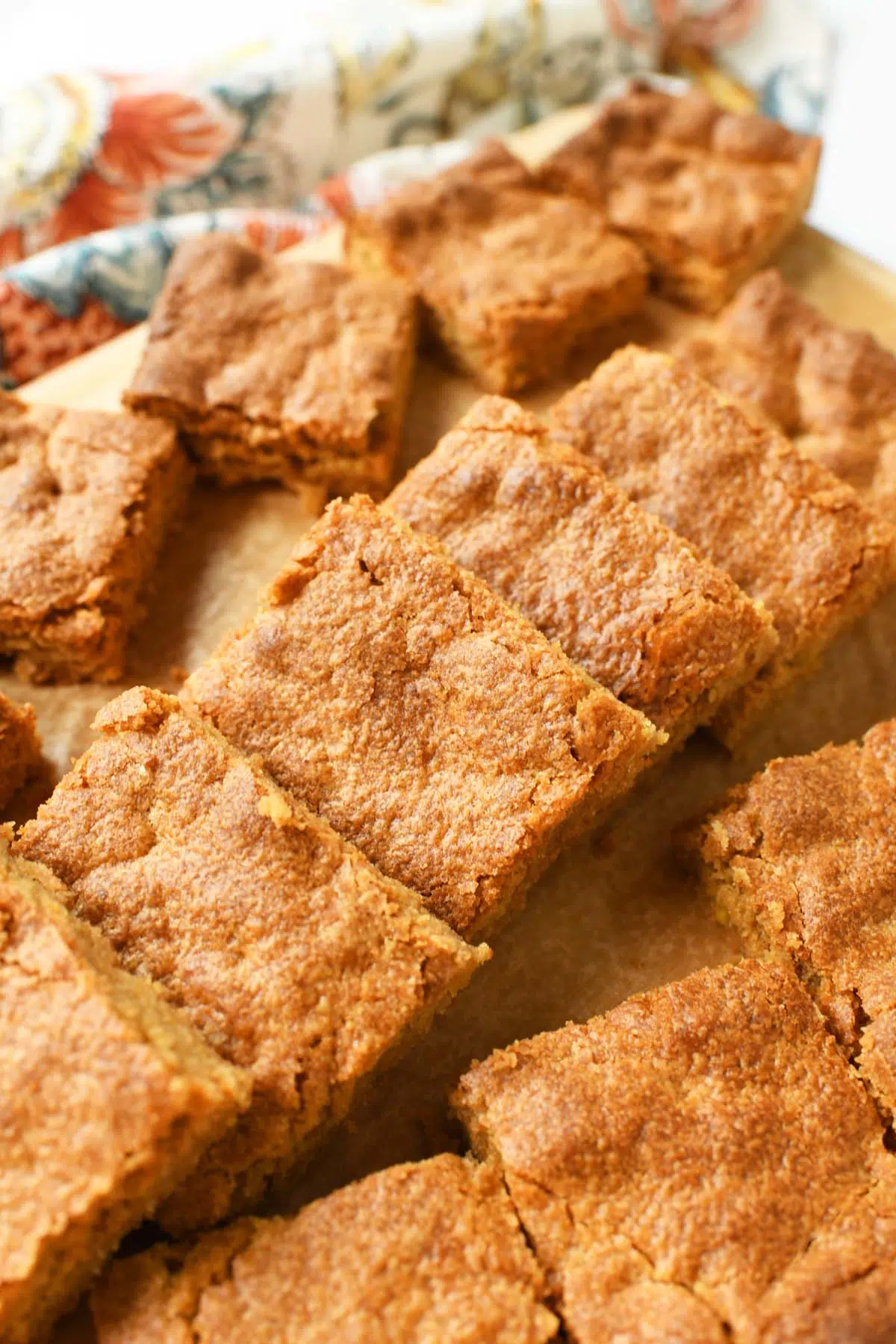 Up close shot of sliced peanut butter brownies.