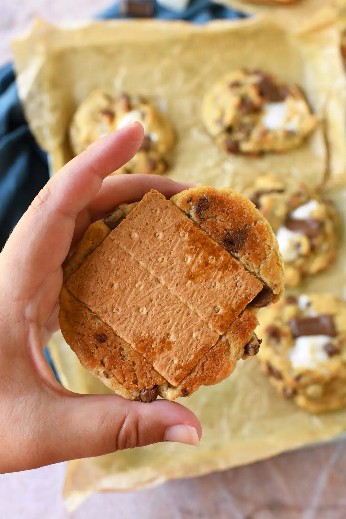 Hand holding up a smores cookie with a graham cracker on the back of it.